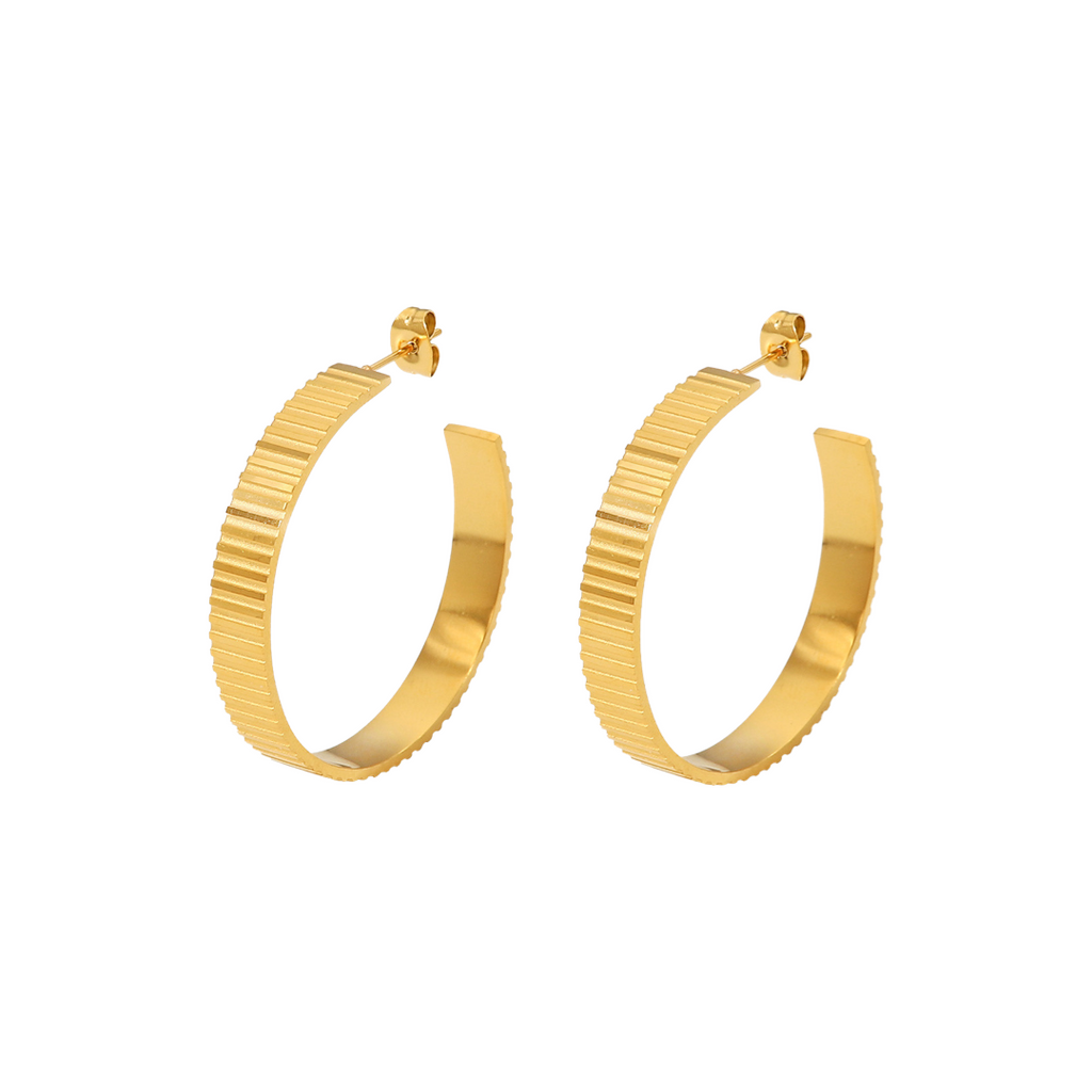 The Earnest Ambition